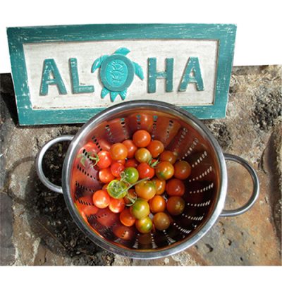 Aloha-tomatoes-image